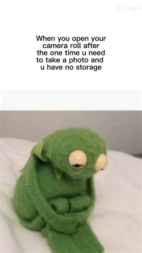 Sad Kermit😞😞😞