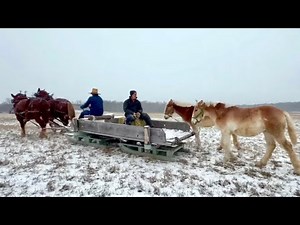 We Wanted to Wish Everyone a Merry Christmas!!! #869