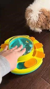Best Amazon Dog Toy 2026! Potaroma Dog Puzzle Toy & Slow Feeder