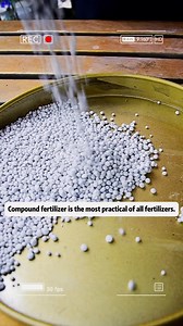2.5K views · 16 reactions | How to grow good plants with compound fertilizer? Are you using these two methods correctly?#npkfertilizer #rissofertilizer #compoundfertilizer #plantfertilizer #fertilizer #plantgrowingtips #plantcaretips #planttips #organicfertilizerforvegetables #creatorsearchinsights | Risso NPK Fertilizer Factory | Facebook