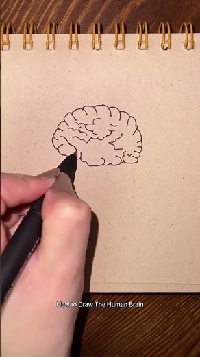 How to Draw The Human Brain Step By Step 🧠 Brain Drawing Easy #shorts