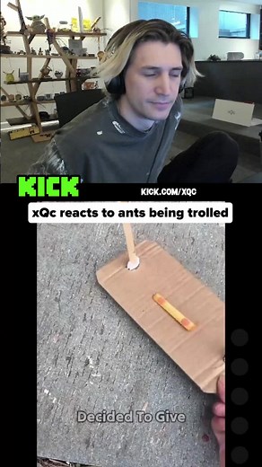 xQc Reacts to Ants Being Trolled – Hilarious Live Reaction