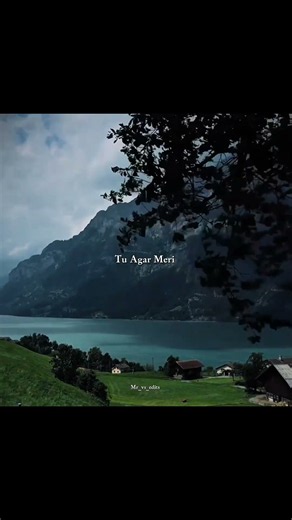Tu Agar Meri | Gehra Hua | Dhurandhar | #lyricsreels #songlyrics #lyricsvideo #lyricalstatus #shorts