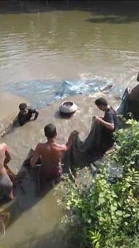 We Caught a Giant Fish! #Caught_Giant_Fish #recreationchannel