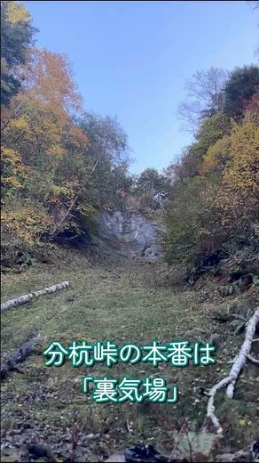 【超パワスポ】分杭峠の中でも最もエネルギーが濃い「裏気場」‼️人があまり出入りしてない感が最高。紅葉も素晴らしかった☺️🍁 #ゼロ磁場 #パワースポット #スピリチュアル
