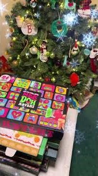 Day 19 of DolphinQuest's Advent Calendar of Advent Calendars! #xmas #unboxing #stone #rock