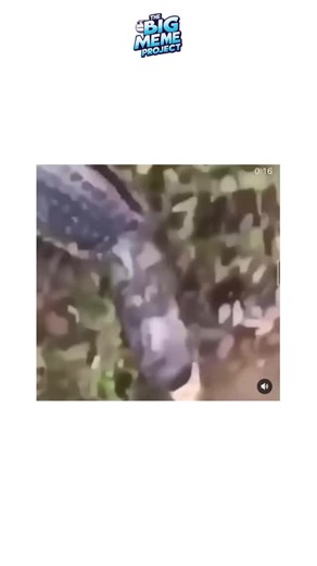 The Big Meme Project on Instagram: "Did you know a single teaspoon of healthy soil can host more living creatures than there are people on Earth? Bacteria, fungi, tiny worms and microarthropods team up to break down nutrients and keep plants growing. This hidden world underfoot is one of the richest ecosystems on the planet. Next time you dig in the garden or walk barefoot in the grass, take a moment to marvel at the bustling life that’s fueling our forests, farms and flowers."