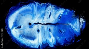 Blue and white creative abstract acrylic painted , wallpaper, texture, acrylic painting on canvas. visual effects, macro fluid art and experimental colors motion. black background