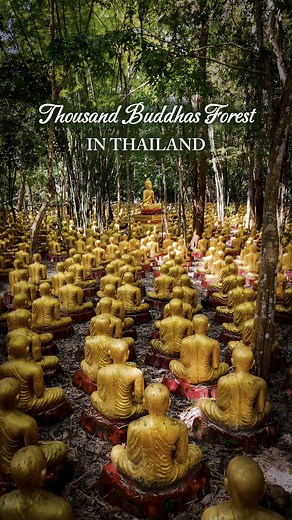 Discover the Magical Thousand Buddhas Temple in Thailand