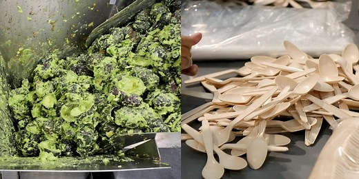 How avocado pits are turned into biodegradable silverware