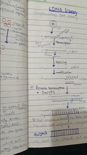 DNA Libraries #DNA | cDNA library| Genomic library #biochemistry
