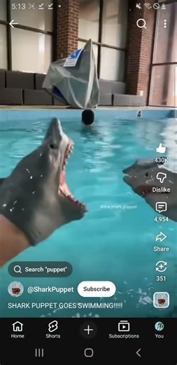 amiyumi was scared by shark puppet