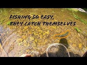 Budget Streamer Fly Rod | Late Season Fly Fishing in the Pine Creek Valley