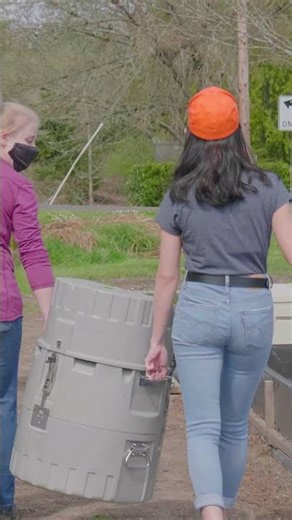 What do environmental engineers do?