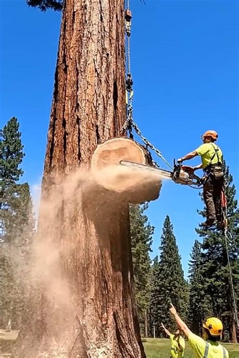 How this future woodcutting machine to work well?