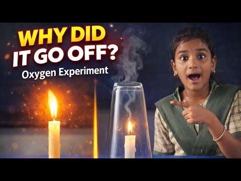 Oxygen Supports Burning || Candle Experiment || Class 6 Science Activity