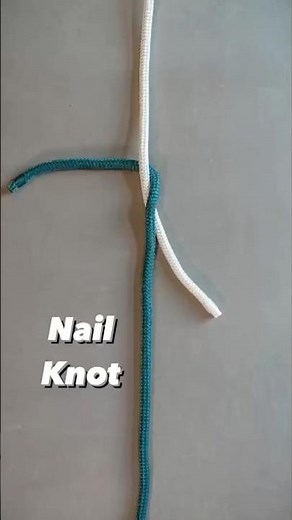 Strongest Knot for Fly Fishing Lines #knot #fishing #tutorial