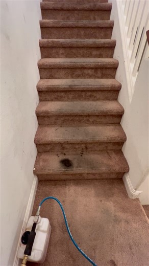 Deep carpet cleaning | Real Steamer