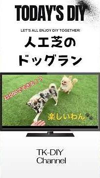 施工費25000円で庭に人工芝のドッグランを作る ＃ドッグラン＃人工芝＃ペット＃DIY＃犬
