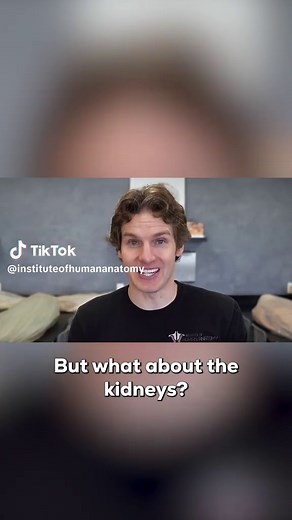 The Effects of Ibuprofen on Kidneys, Heart, and Liver