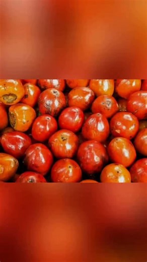 Aquí Hay Noticia | ¡La cosecha más esperada del año: el chontaduro adorna a Cali y el Valle!😍 En racimos, en bolsitas de cuatro o diez; con sal, con miel o... | Instagram