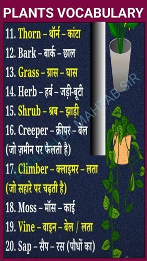 PLANTS NAME IN ENGLISH || पौधौ के नाम अँग्रेजी में ||DAILY VOCABULARY ||MAHTAB SIR ENGLISH #english