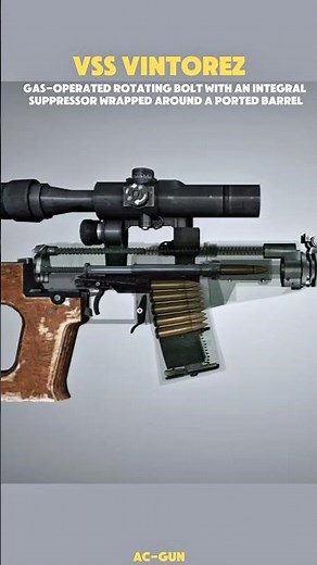 VSS Vintorez: 9x39mm Subsonic System