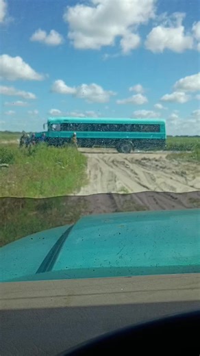 The Best Ways to Use Fresh Tomatoes in Your Meals