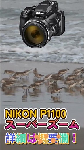 NIKON P1100スーパーズーム 超望遠 250323 #P1100 #NIKON #超望遠 2