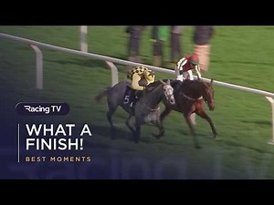 Greatest Moments | Cheltenham Festival 2026 | Racing TV