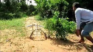 43K views · 58 reactions | Primitive Technology Man Make Crocodile Trap - How To Make Big Crocodile Trap Work. Credit : KP Daily | Beautiful Nature | Facebook