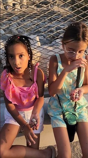 They Are Not Seashells 😂 #shortsvideo #shorts