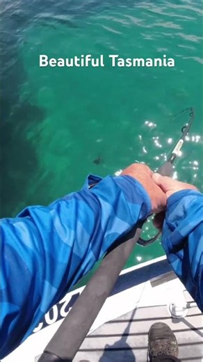 #fishing #ocean #outdoors #squid