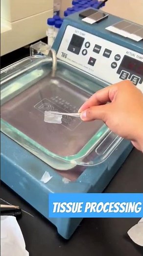 Tissue Processing || Histopathology