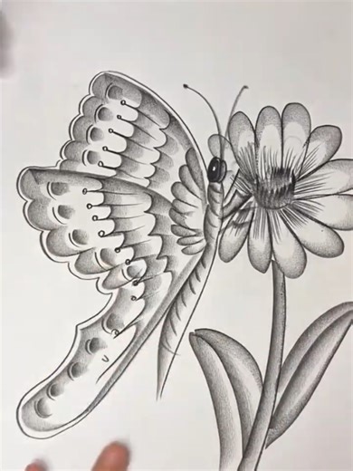 Step-by-Step Realistic Butterfly Drawing Tutorial