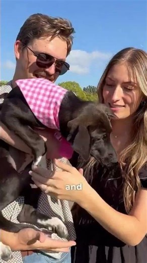 Brownie FOUND her FOREVER HOME! 💛 #dog #dulcevidarescue #shorts