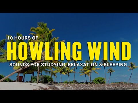 10 Hours of Howling Wind Sounds for Studying, Relaxation | Wind Sounds for Sleeping