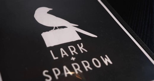 032626-smt-video-lark-sparrow