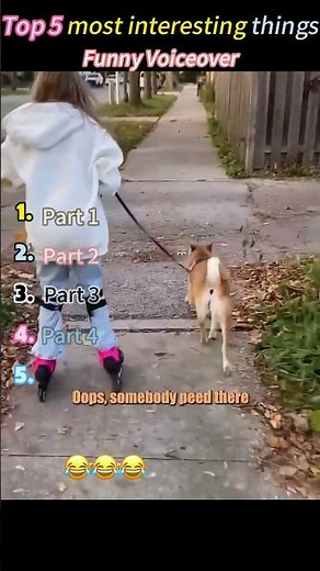 Funny voice-over compilation#foryou #funny #pets #cute #comedy #voiceover #fyp
