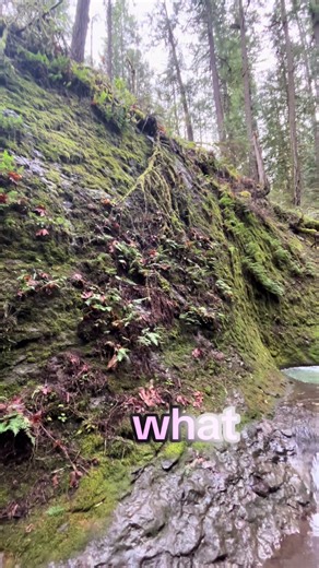 Exploring a Hidden Canyon on My Daily Hike