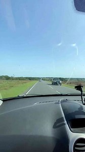 Fun Roadtrip Game Ideas for Travelers