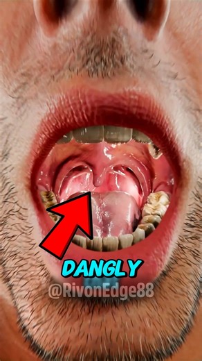 Have You Ever Wondered What That Dangly Thing in Your Throat Does?
