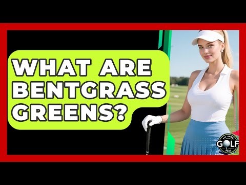 What Are Bentgrass Greens? - All About Golf Pros