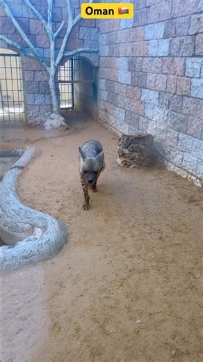 Oman | Al Naseem park | zoo | muscat | Al hamra |