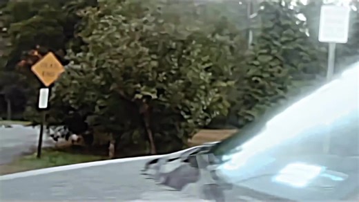 CapCut Discipline Meme Edit