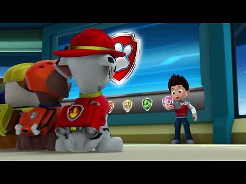 PAW Patrol: Pups Save A School Day: Ready For Action