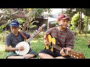 cotton fields (covering with sam banjo) live @park