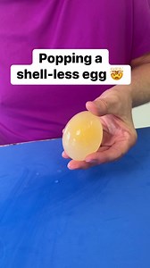 Popping a shell-less egg with a toothpick. | The Gooch