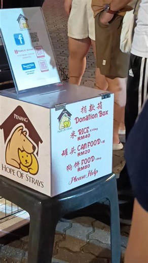 Free cats & dogs for adoption @ AutoCity, Juru, Penang. | Forestexplorers