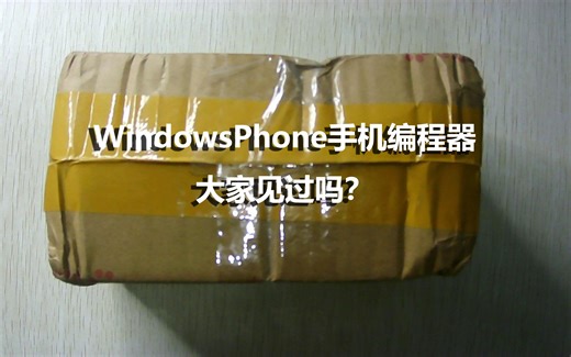 WindowsPhone手机编程器大家见过吗？